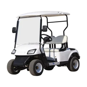 Customizible Design 2 Passenger Golf Cart Electric Golf Cart 2 Seater Battery Powered Golf Cart