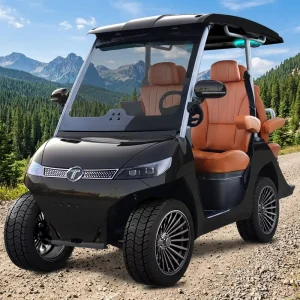 D3 Electric Golf Cart 2+2 Seater Stylish Personal Transport for Resort and Community Use