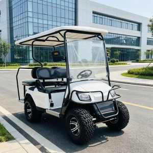 DDP Shipping Global 4 Seat Electric Golf Cart for Doorstep Delivery