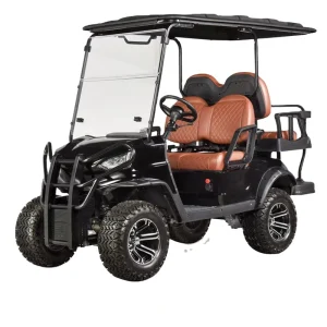 Deep Cycle Lithium Ion 2 Seater Electric 4 Seater Luxury Golf Carts