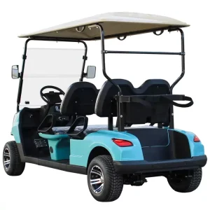 Designed Golf Carts Buggies Electric Golf Cart