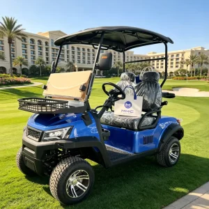 Direct 2Seater Off Road Electric Golf Cart with 72V Lithium Battery Dot Certified for Golf Courses Resorts & Communities