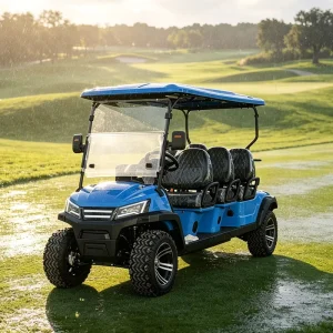 Direct Factory Custom Paint Color 6 Seat Electric Golf Cart for Brazil Market