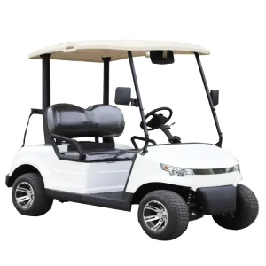 Direct Sale 4 Wheel Drive Golf Cart 2 Seater Lead Acid Battery Electric Club Car Golf Carts