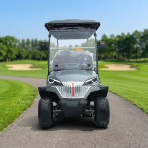 Direct Sales OEM 8 Seater Golf Buggy Low Price Electric Golf Carts Powerful Electric Cart