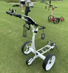 Double Handle 24V DC Lithium Battery Electric Drive Remote Control Remote Golf Trolley