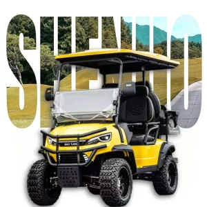 Durable Electric 4 Seater Eco Friendly Golf Cart with Lithium Battery and 48V for Golf Courses