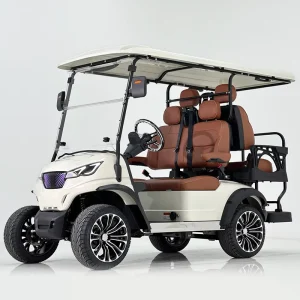 Durable Electric Golf Cart with 48v Anti Roll Bars for Course Transport