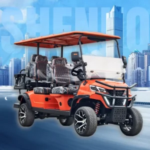Durable Golf Cart 6 Person Eco Friendly Golf Car for Hunting and Farm