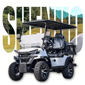 Durable Sdlgc80 Golf Cart China Golf Carts for Sale Eco Friendly Neighborhood Electric Vehicle (NEV) for Personal Leisure