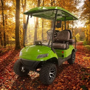 Dustproof Anti Corrosion Whole Body Four Seater Community Park Daily Recreation Electric Car Golf Cart