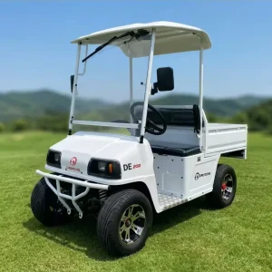 EC004 Golf Cart Factory With CE Certificate Mini Golf Cart for Sale With Max.Loading 400kgs