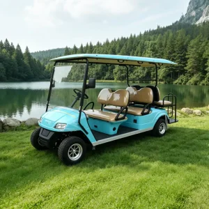 EG Custom Supplier 6 Seater Electric Golf Cart
