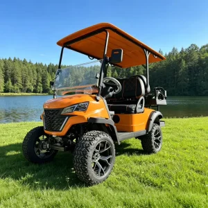 EG Luxury Golf Cart Club 2 Seater Car Import Golf Carts From China