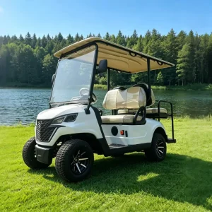 EG Manufacturer Custom Utility Lithium Luxury 4 Seater Electric Golf Cart