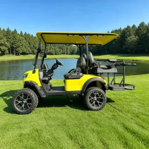 EG OEM ODM Golf Cart Manufacturer Factory Supplier New Golf Carts Electric 4 Seater