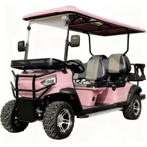 EPA Certified Custom Color 300cc 6 Seater Gasoline Golf Carts with 4 Stroke Engine 45 Km/h 100 120 Km Range