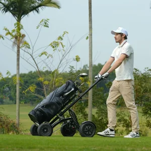 ES1388 Four Wheel 10 Inch 1600W Brushless Motor Aluminium Folding Electric Golf Buggy Cart Lithium Battery 25km/h