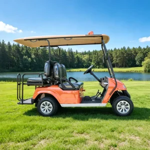 Eagle Club Golf Cart 4 2+2 Passenger Golf Cart with Seats Outdoor 4 2 Seat Ac 48v Electric Golf Cart