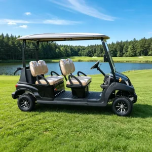 Eagle Custom 4 Seater Lithium Electric Golf Carts for Price Sale