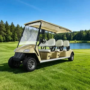 Eagle Custom Lithium Electric Golf Cart 6 Passenger Seater
