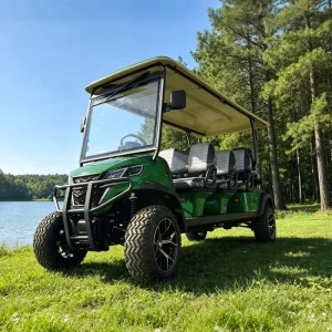Eagle Custom Luxury Chinese Golf Carts Electric 8 Seater Golf Cart