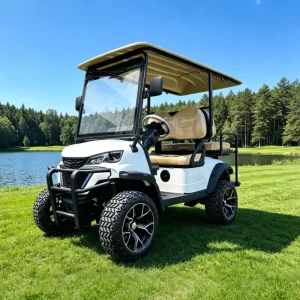 Eagle Golf Cart Manufacturer Luxury Utility Golf Carts Electric 4 Seater