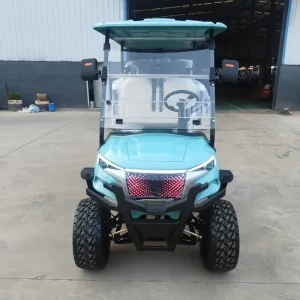 Easy Drive Quick Acceleration Golf Cart 48V Electric with Wide Seating