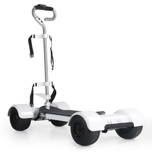 Easy Foldden 4 Wheels Electric Golf Board Cycle Convenient Golf Trolley Scooter Golf Bag Mobility Scooter
