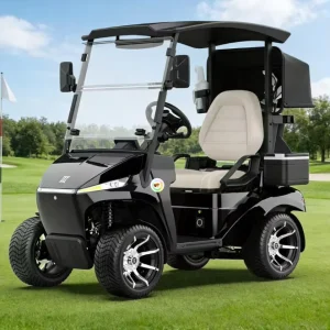 Easy to Maintain Golf Cart Golf Course Golf Cart Resort Electric Vehicle 1 Seater Golf Buggy