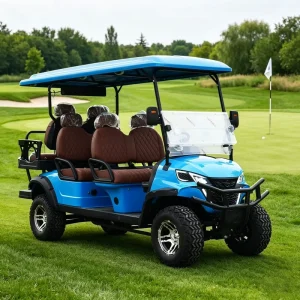 Eco Friendly 6 Seater Electric Golf Cart 48V Lithium Battery 5kW AC Motor Silent Drive 30 40km h 70 90km Range Neighborhood Car