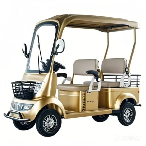 Eco Friendly Energy Efficient Electric Golf Cart for Shopping Mall Transport