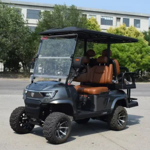 Eco Friendly Energy Saving Powerful Professional Reliable Versatile Electric Golf Cart