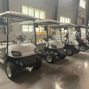 Eco Friendly Golf Cart Customizable Electric Models for a Sustainable Experience