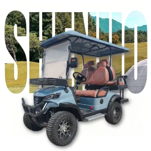 Eco Friendly Golf Cart G Wagon E Golf Cart Electric High Performance Golf Car for Hunting and Farm