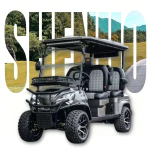Eco Friendly High End Golf Cart Electric Golf Carts High Performance Golf Buggy for Resort and Hotel