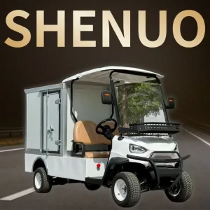 Eco Friendly Japan Golf Cart High Performance Neighborhood Electric Vehicle (NEV) for Personal Leisure