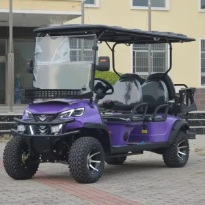 Eco Friendly Quiet Purple Electric Golf Cart 6 Seater LED Lights Lithium Battery 30 50Km h for Campus Tourist Attraction