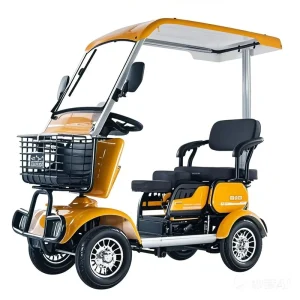 Eco Friendly and Energy Efficient Electric Golf Trolley Mobile Gym Advertising Shooting Cart