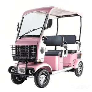 Eco friendly and Energy Efficient Electric Golf Trolley Industrial Park Security Patrol Disability Assistance Golf Carts