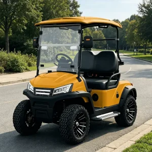 Efficient 72V Lithium Golf Cart with Customizable Body Color and Customizable Configuration for Golf Course and Community Use