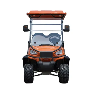 Electric 2 4 6 Seat Golf Carts Folding Buggy Cart for Sale