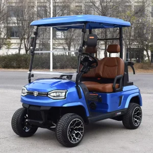 Electric 2 Seater Golf Cart Lithium