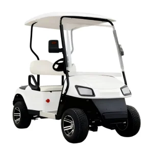 Electric 2 Seater Golf Cart with 60V AC Motor 30 50Km h Speed 90km Range No Battery Included