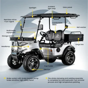 Electric 2 Seater Golf Cart with Heavy Cargo Box Off Road for Club Hotel Outdoor Use