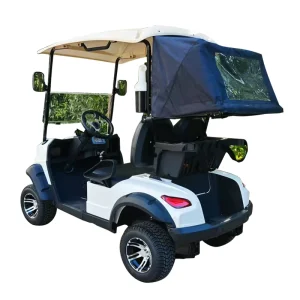 Electric 2 Seats Cart Golf Cart With High Quality for Sale