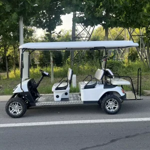 Electric 2 Stroke 6 seater Golf Carts for Golf Courses and Clubs Customizable