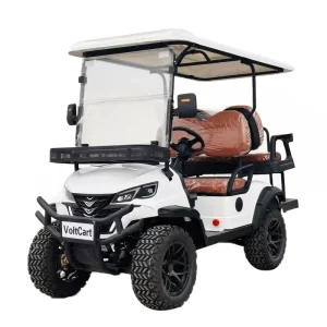 Electric 4 Seater Golf Cart 60V Low Voltage AC Controller 90km Range