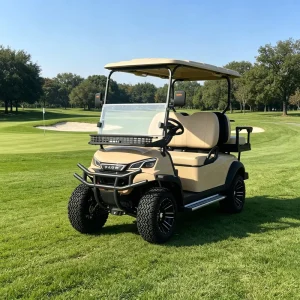 Electric 4 Seater Golf Cart with Customizable Starry Sky Roof & Color LED Strip Extra Rear Cargo Box 90km Range