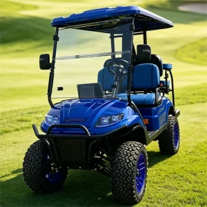 Electric 4 Seaters Golf Cart with Curtis Controller 48V Motor 8V*6 Battery